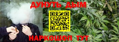 гидропоника Бийск