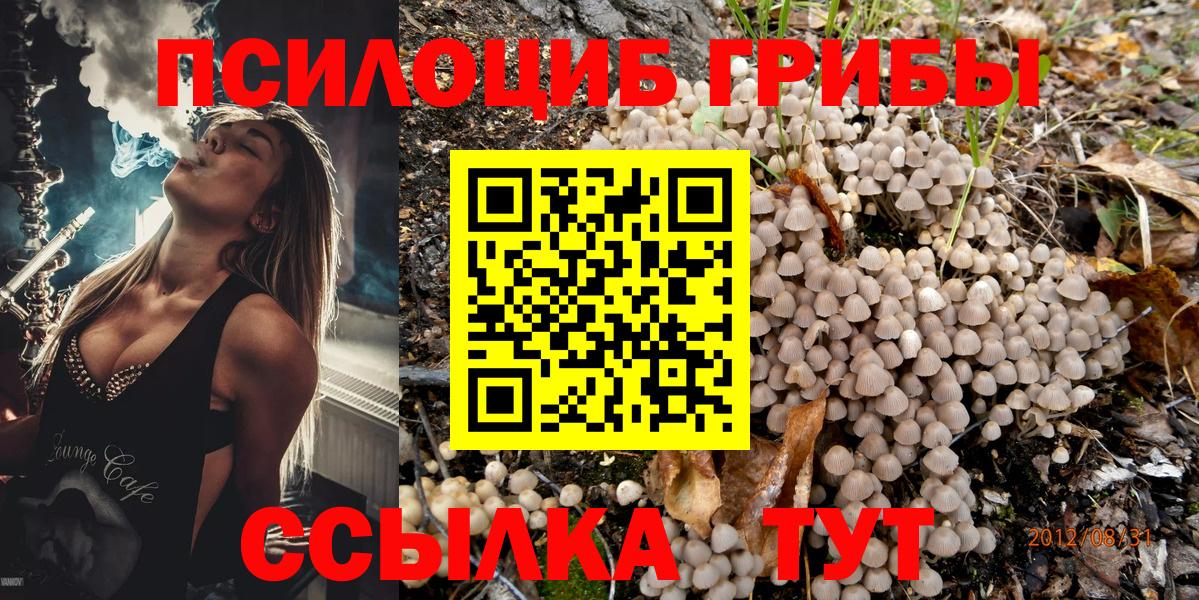 Галлюциногенные грибы GOLDEN TEACHER  Псилоцибиновые грибы мухоморы  где найти наркотики  Вход с VPN  Кемерово 