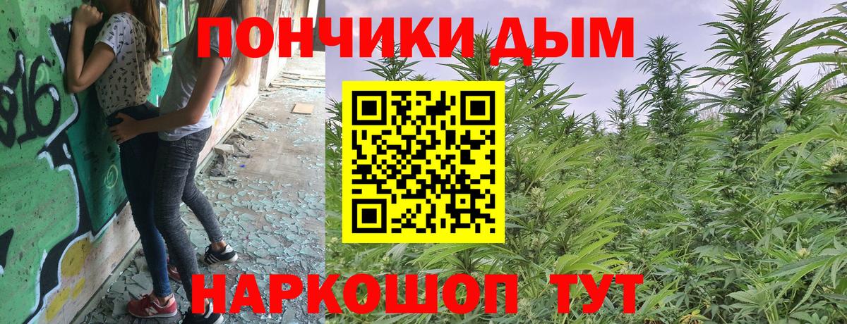 Бошки марихуана Amnesia  Вход с VPN  Кемерово  МАРИХУАНА Bruce Banner 